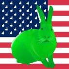 VERT-FLAG ORANGE FLAG rabbit flag Showroom - Inkjet on plexi, limited editions, numbered and signed. Wildlife painting Art and decoration. Click to select an image, organise your own set, order from the painter on line